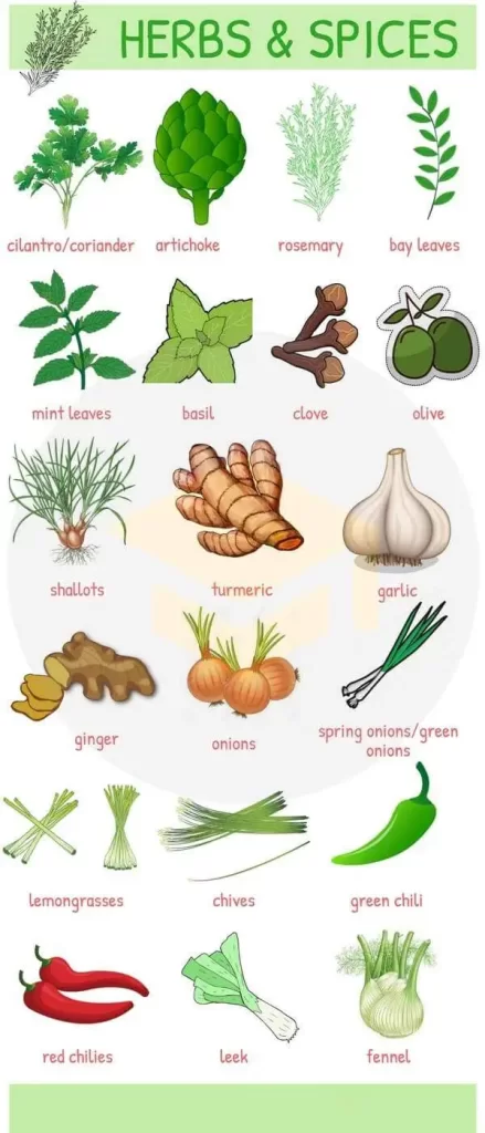 ادویه ها در زبان انگلیسی | Herbs & Spices in English
