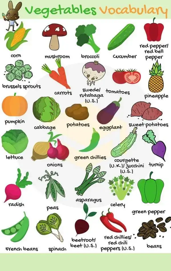 سبزیجات در زبان انگلیسی | Vegetables in English